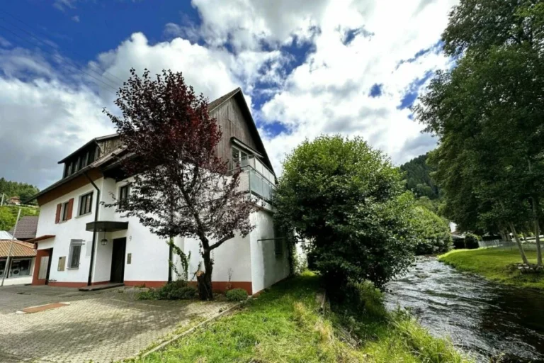 Schwarzwald Ferienwohnung Kinzigblick