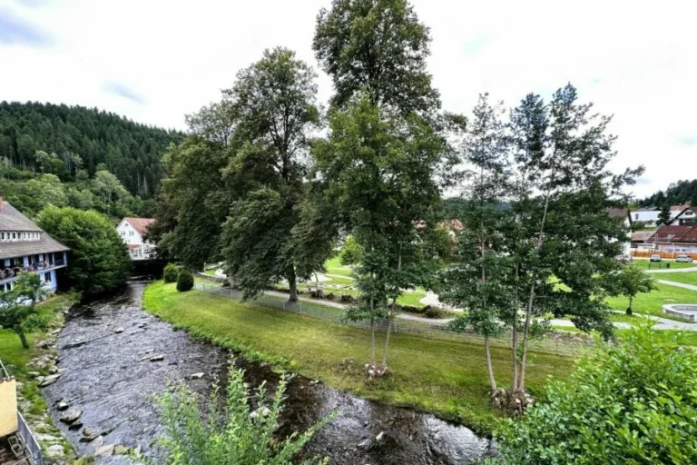 Schwarzwald Ferienwohnung Kinzigblick