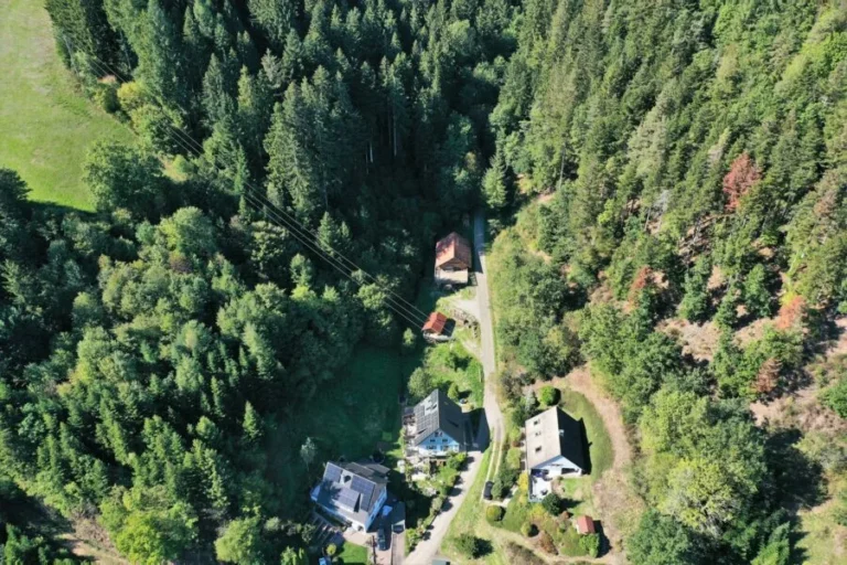 Schwarzwald Blockhaus Flößerhaus