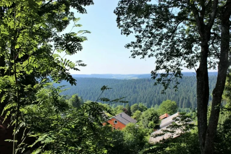 Gruppenunterkunft Holzhaus Horst