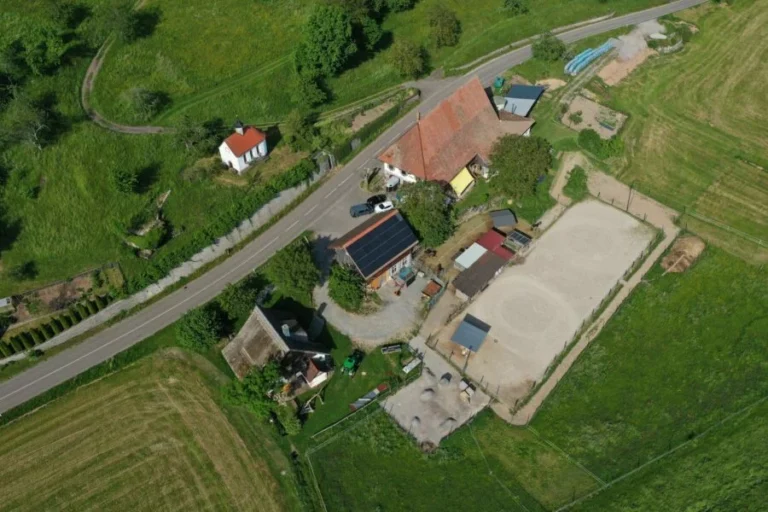 Ferienhaus Schwarzwald Mühle