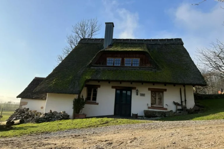 Ferienhaus Schwarzwald Mühle