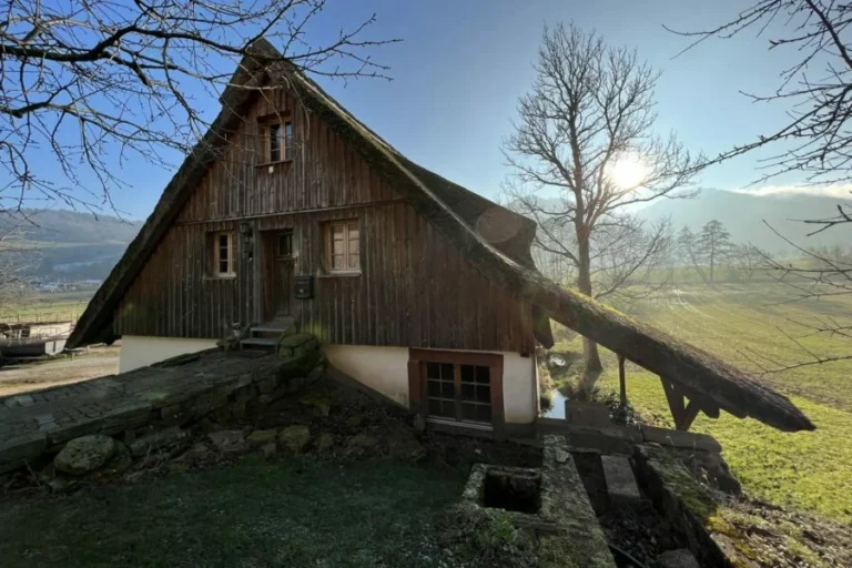 Ferienhaus Schwarzwald Mühle