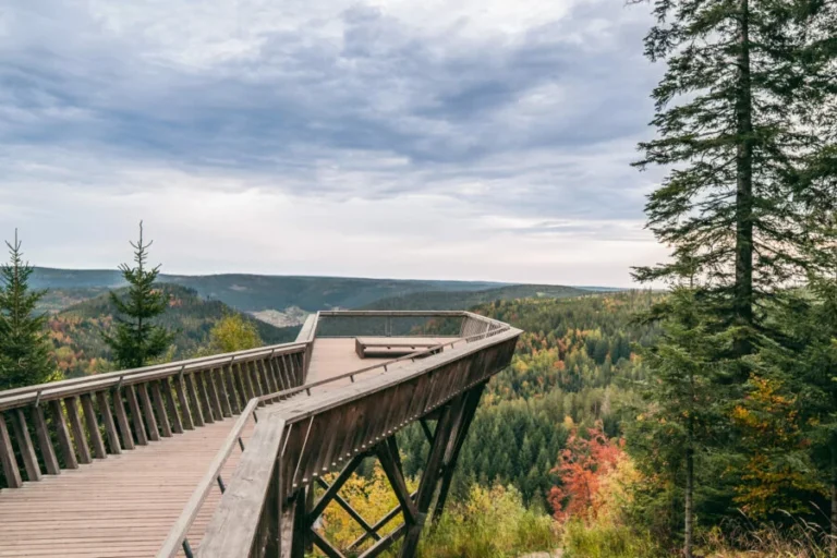 Aussichtsplattform Ellbachseeblick