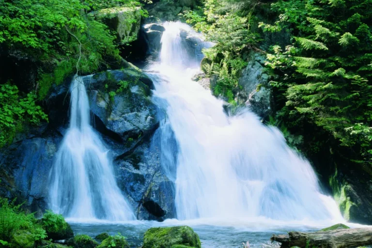 Triberger Wasserfälle mit tollen Wanderwegen