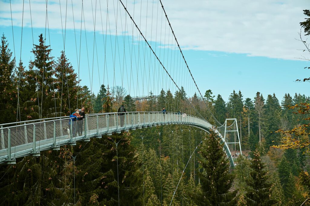 Hängebrücke WILDLINE Bad Wildbad